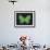 Summer Butterfly III-Sophie Golaz-Framed Giclee Print displayed on a wall