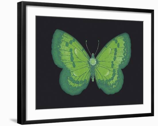 Summer Butterfly III-Sophie Golaz-Framed Giclee Print