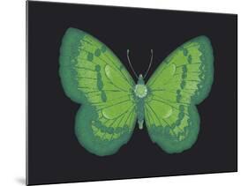 Summer Butterfly III-Sophie Golaz-Mounted Giclee Print