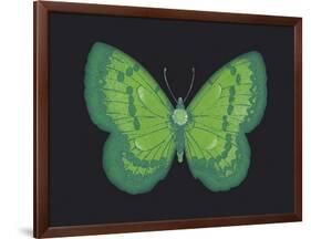 Summer Butterfly III-Sophie Golaz-Framed Giclee Print