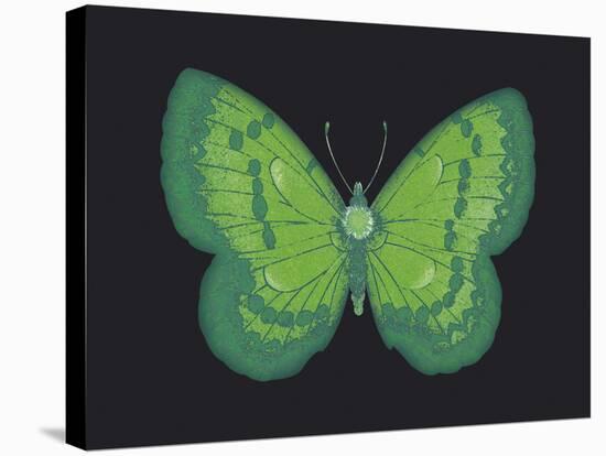 Summer Butterfly III-Sophie Golaz-Stretched Canvas