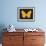 Summer Butterfly IV-Sophie Golaz-Framed Giclee Print displayed on a wall