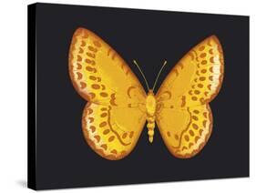 Summer Butterfly IV-Sophie Golaz-Stretched Canvas