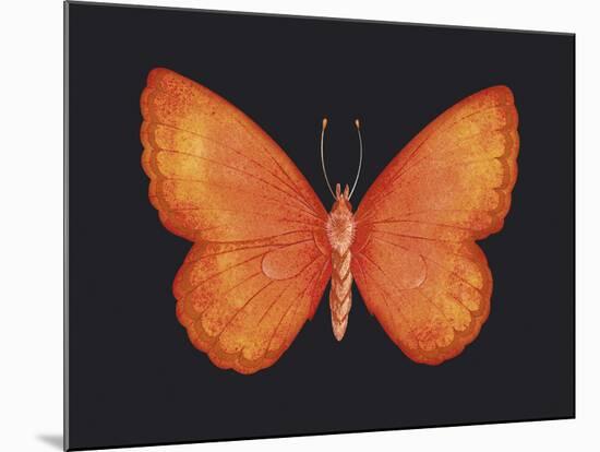 Summer Butterfly V-Sophie Golaz-Mounted Giclee Print