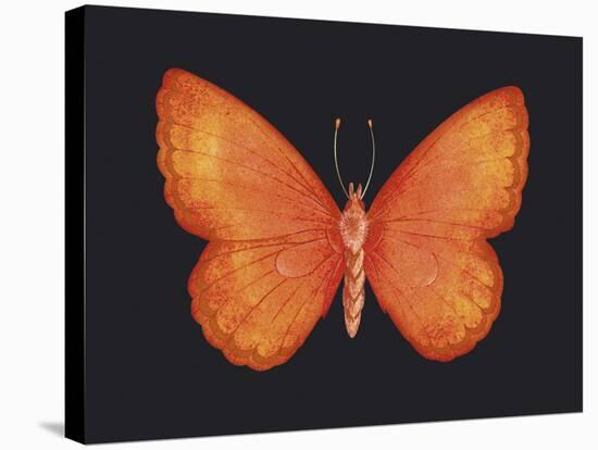 Summer Butterfly V-Sophie Golaz-Stretched Canvas