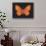 Summer Butterfly V-Sophie Golaz-Stretched Canvas displayed on a wall