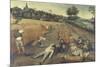 Summer, c.1624-Pieter Brueghel the Younger-Mounted Giclee Print