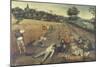 Summer, c.1624-Pieter Brueghel the Younger-Mounted Giclee Print