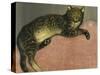 Summer, Cat on a Railing-Théophile Alexandre Steinlen-Stretched Canvas