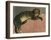 Summer, Cat on a Railing-Théophile Alexandre Steinlen-Framed Giclee Print