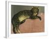 Summer, Cat on a Railing-Théophile Alexandre Steinlen-Framed Giclee Print