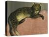 Summer, Cat on a Railing-Théophile Alexandre Steinlen-Stretched Canvas