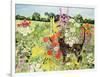 Summer Cat-Hilary Jones-Framed Giclee Print