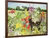 Summer Cat-Hilary Jones-Framed Giclee Print