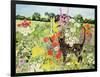 Summer Cat-Hilary Jones-Framed Giclee Print