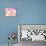 Summer Cheerfulness III-Eva Bane-Photographic Print displayed on a wall