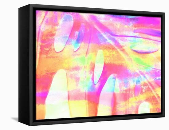 Summer Cheerfulness III-Eva Bane-Framed Stretched Canvas