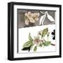 Summer Cherry Blossom II-Melissa Wang-Framed Art Print