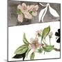 Summer Cherry Blossom II-Melissa Wang-Mounted Art Print