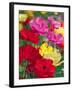 Summer Colour I-Ella Lancaster-Framed Giclee Print