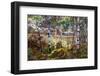 Summer Cool-Robert Moore-Framed Art Print