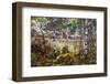 Summer Cool-Robert Moore-Framed Art Print