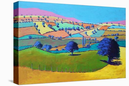 Summer Coombe, 2021 (acrylic on board)-Paul Powis-Stretched Canvas