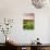 Summer Crops Growing in a Field Near Lanreath, Cornwall, England. Summer-Adam Burton-Photographic Print displayed on a wall