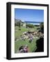 Summer Crowds at Tamarama, Sydney, Australia-Robert Francis-Framed Photographic Print