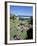 Summer Crowds at Tamarama, Sydney, Australia-Robert Francis-Framed Photographic Print