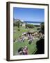 Summer Crowds at Tamarama, Sydney, Australia-Robert Francis-Framed Photographic Print