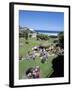 Summer Crowds at Tamarama, Sydney, Australia-Robert Francis-Framed Photographic Print