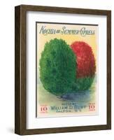 Summer Cypress Seed Packet-null-Framed Art Print