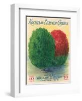 Summer Cypress Seed Packet-null-Framed Art Print