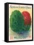 Summer Cypress Seed Packet-null-Framed Stretched Canvas