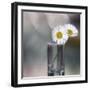 Summer Daisies-Incredi-Framed Giclee Print