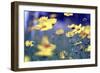 Summer Dance-Incredi-Framed Photographic Print