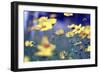 Summer Dance-Incredi-Framed Photographic Print