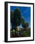 Summer Day, 1881-Arnold Böcklin-Framed Giclee Print