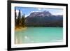 Summer Day at Emerald Lake, Canada-George Oze-Framed Photographic Print