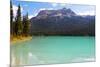 Summer Day at Emerald Lake, Canada-George Oze-Mounted Photographic Print