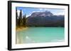 Summer Day at Emerald Lake, Canada-George Oze-Framed Photographic Print