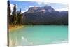 Summer Day at Emerald Lake, Canada-George Oze-Stretched Canvas