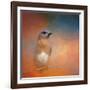 Summer Day Bluebird-Jai Johnson-Framed Giclee Print