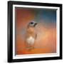 Summer Day Bluebird-Jai Johnson-Framed Giclee Print