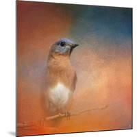 Summer Day Bluebird-Jai Johnson-Mounted Giclee Print