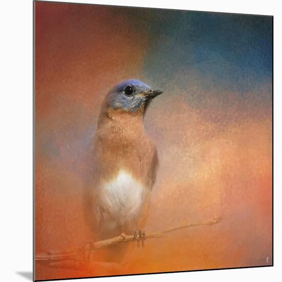 Summer Day Bluebird-Jai Johnson-Mounted Giclee Print