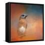 Summer Day Bluebird-Jai Johnson-Framed Stretched Canvas