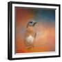 Summer Day Bluebird-Jai Johnson-Framed Giclee Print