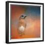 Summer Day Bluebird-Jai Johnson-Framed Giclee Print